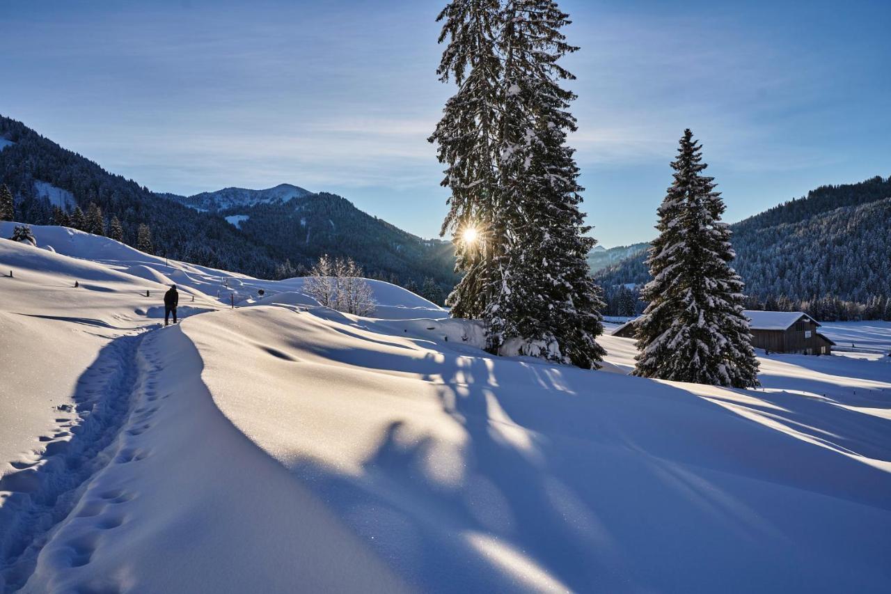 Hubertus Mountain Refugio Allgaeu Balderschwang Exterior foto